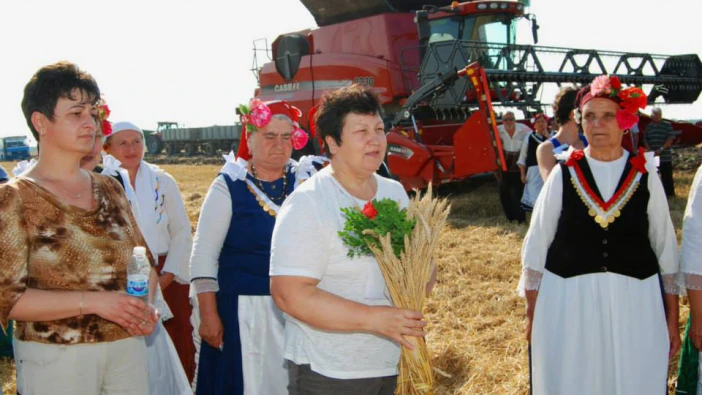 На жътва като едно време и сега...в Проф. Иширково