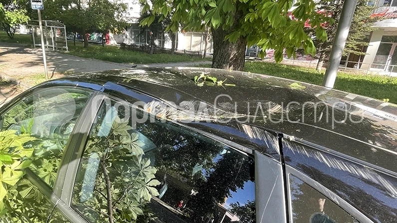 Силният вятър нанесе щети върху леки автомобили