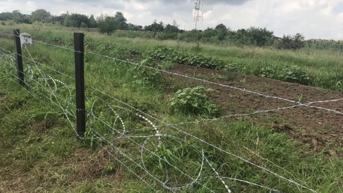 Порожанов инспектира в понеделник оградата срещу диви прасета край Силистра