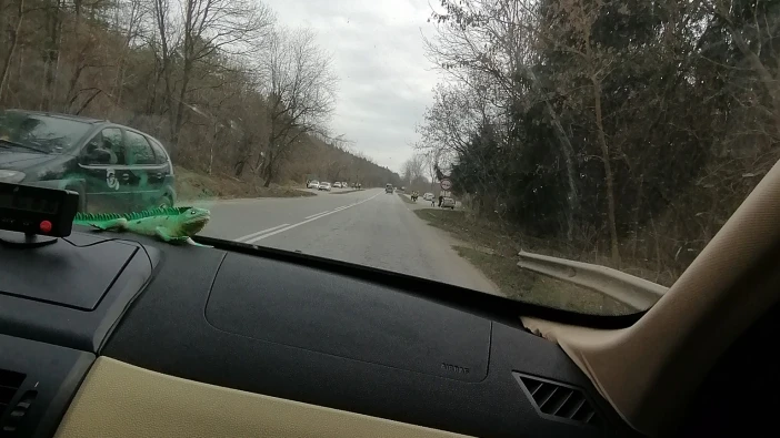 Полицаите блокираха изхода на Силистра